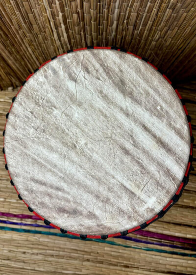 Handcrafted Ghanian Djembe - 19''x 10" - Image 4