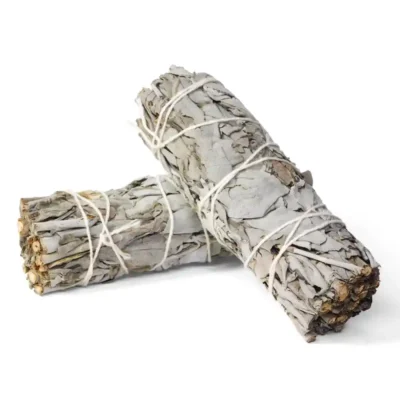 Incense Bundle - Sage
