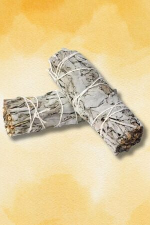 Sonata White Sage Bundle - Small