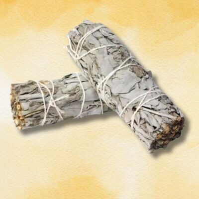 Sonata White Sage Bundle - Small
