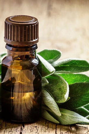 Incense Oil - Sage