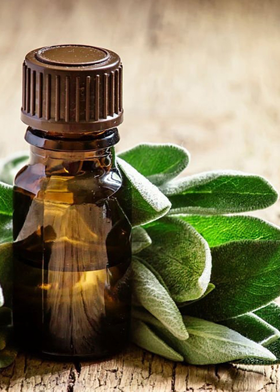 Incense Oil - Sage