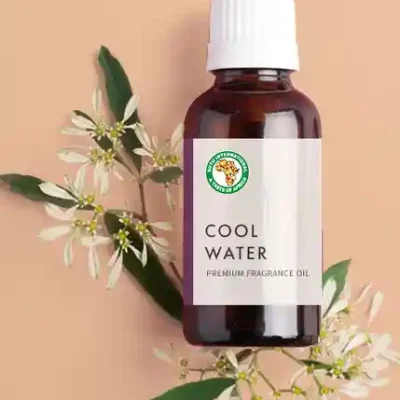 Incense Oil - Cool Water