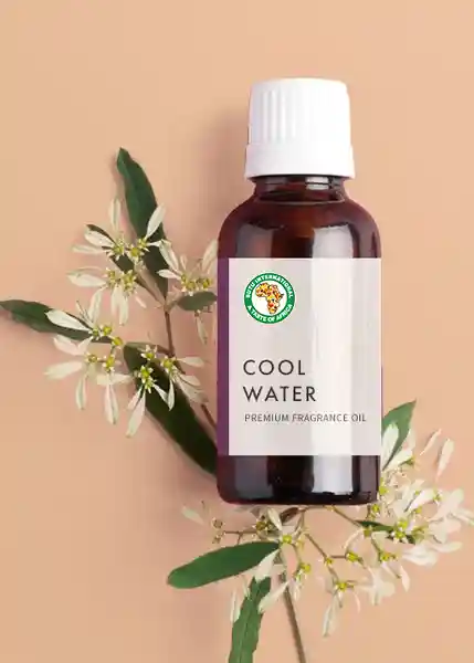 Incense Oil - Cool Water