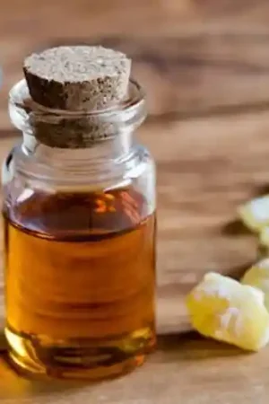 Incense Oil - Frankincense