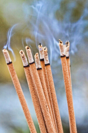 Incense Bundle - Jamaican Fruit
