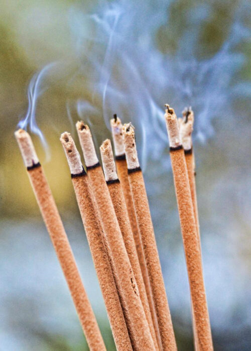 Incense Bundle - Egyptian Musk