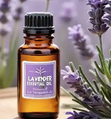 Incense Oil - Lavender