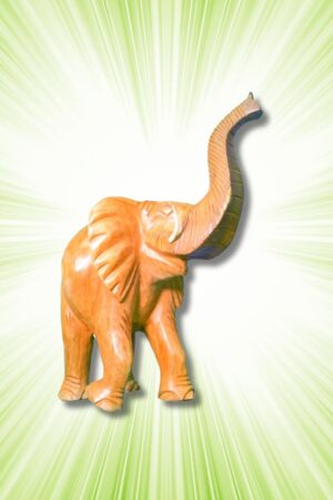 Wooden Elephant Carving 10 inches - 1