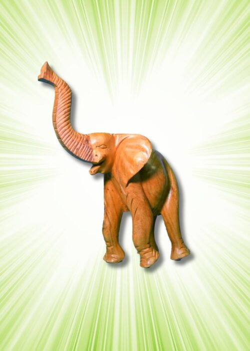 Wooden Elephant Carving 10 inches - 2