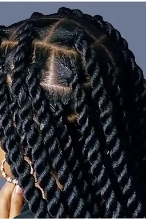 Large Senegalese Twist $200+ (6hrs & 45min)
