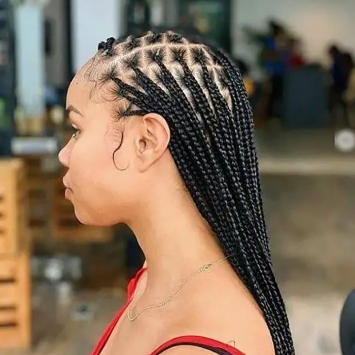 Small Knotless Braids $180+ (8hrs & 45min)